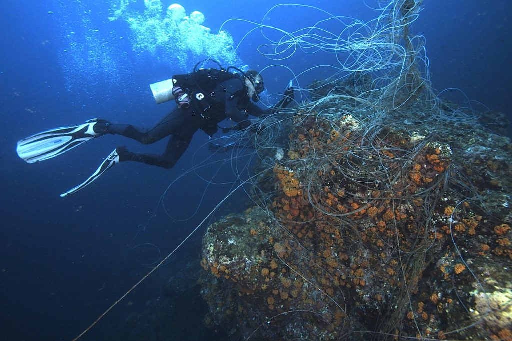 Longline caught in coral (c) Tim Laman