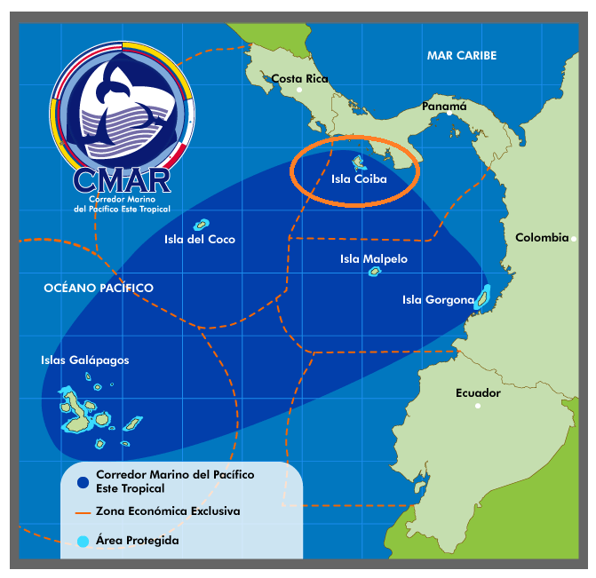 East-Pacific Corridor - The Shark Triangle